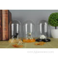 Clear Glass & Wood Tabletop Display Case